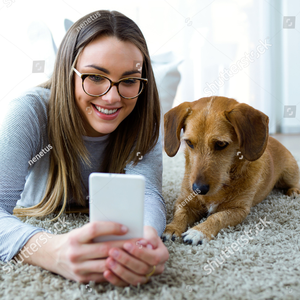 dog-travel-prepare-2