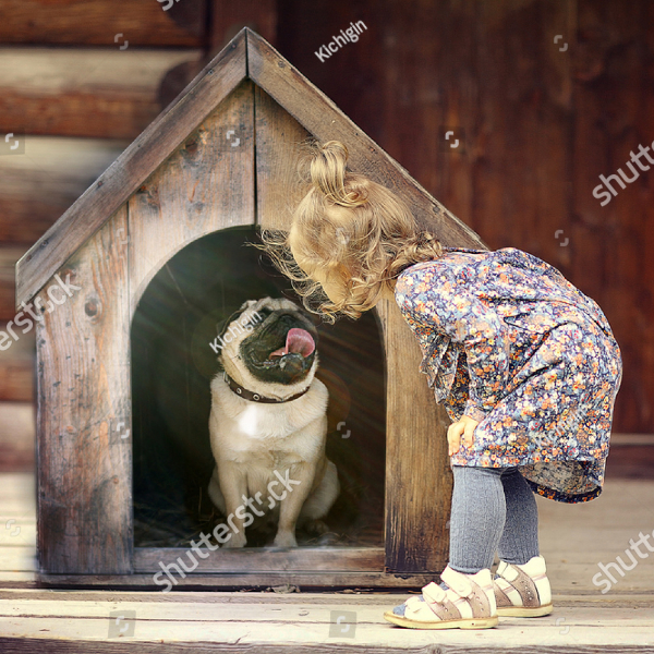 pup-standards-care-1