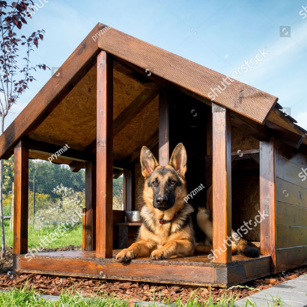 pup-standards-care-2