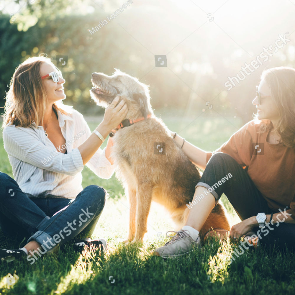 pup-standards-regulations