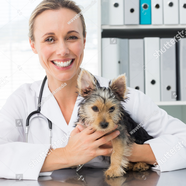 pup-standards-vat-care-1