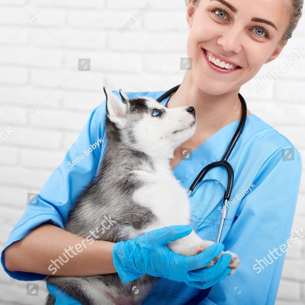 pup-standards-vat-care-3